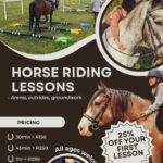 Horse Riding in Greyton