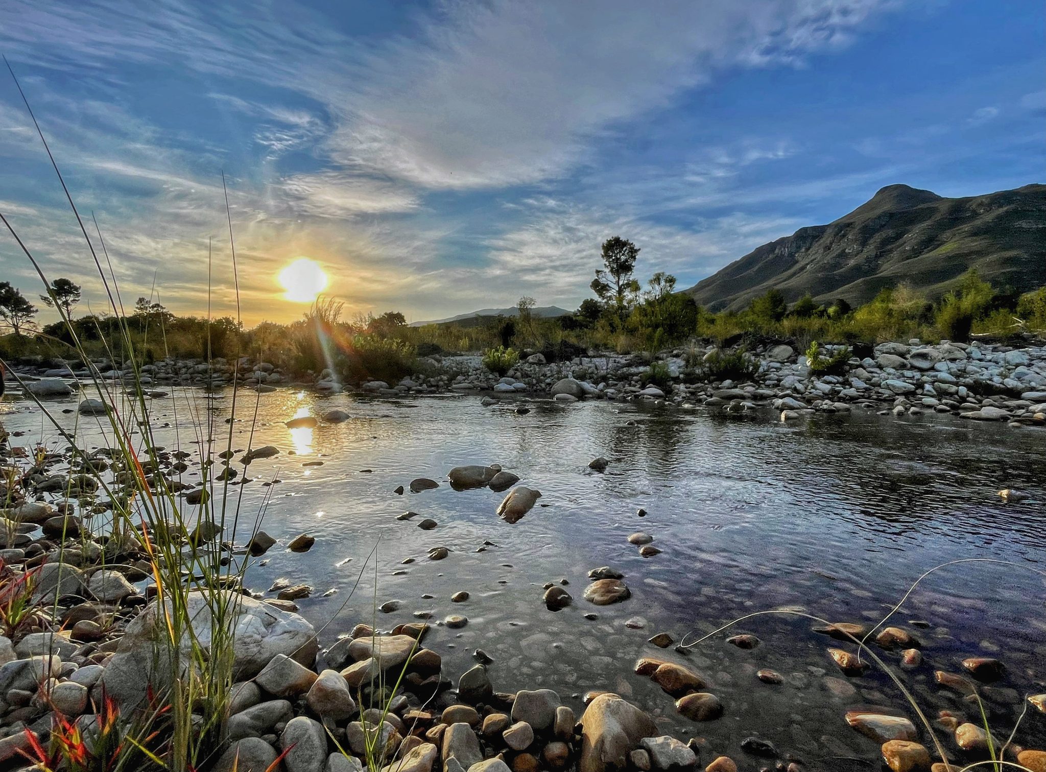 What's On in Greyton