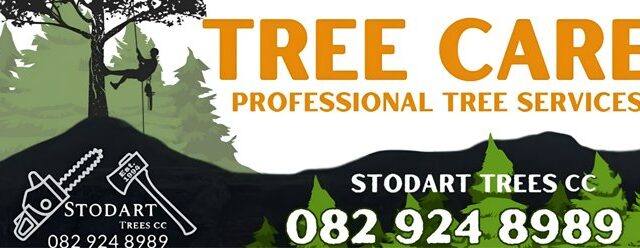 A Tale of Two Christmases