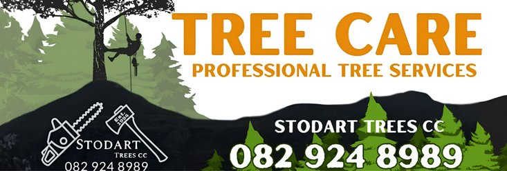 A Tale of Two Christmases