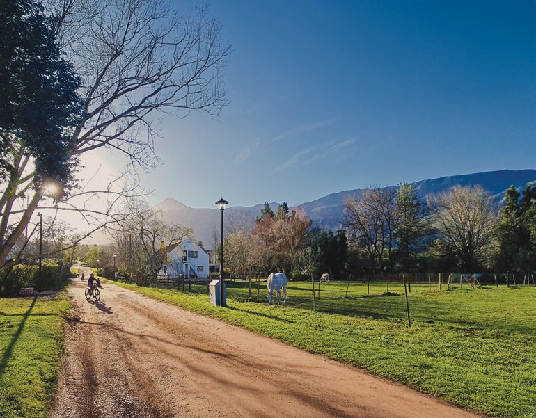 Andrew Dalling leiwater service