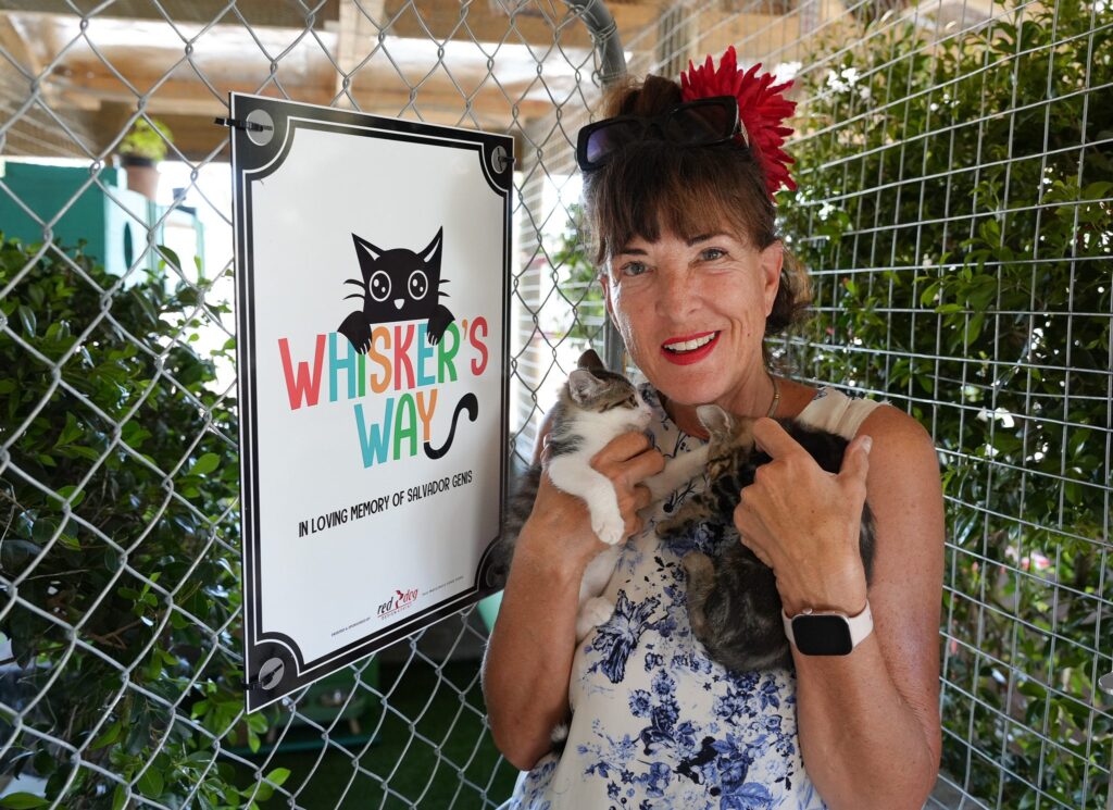 GAWS at Work & Play: A Special Afternoon at GAWS