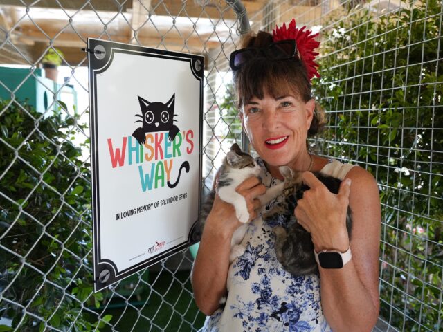 GAWS at Work & Play: A Special Afternoon at GAWS