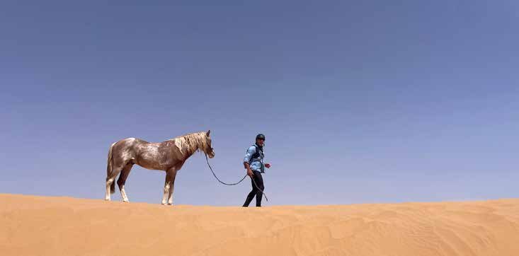 Ancient Waterways Beneath the Sahara: The Khettaras of Fezna