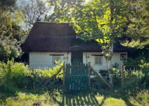 Mouse House