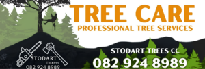 Stodart Tree Services